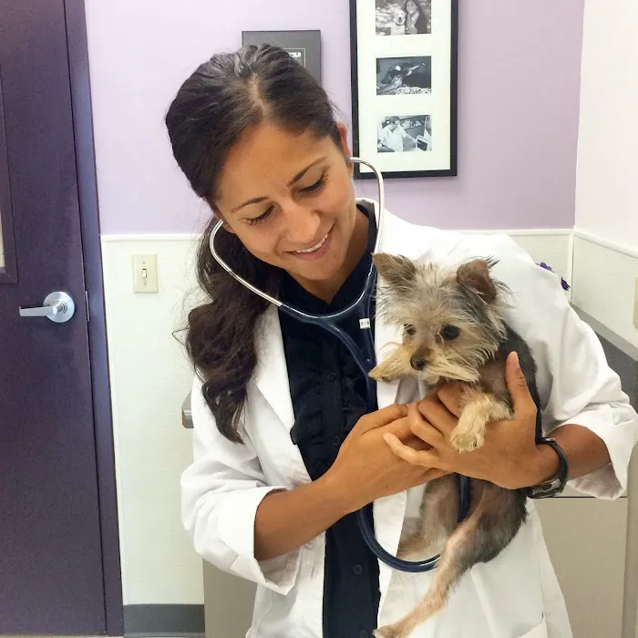 Family VetCare of Phoenix Picture 4