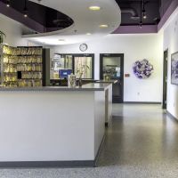Family VetCare of Phoenix ico