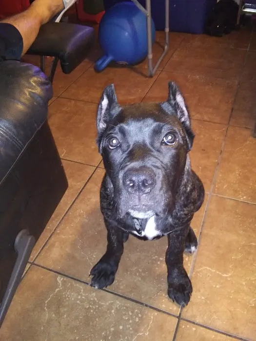 Quartz Mountain Animal Hospital Picture 5