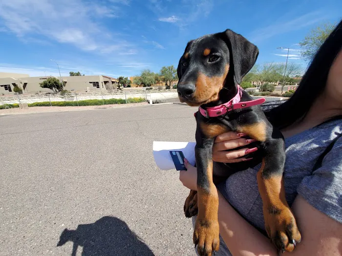 Quartz Mountain Animal Hospital Picture 10