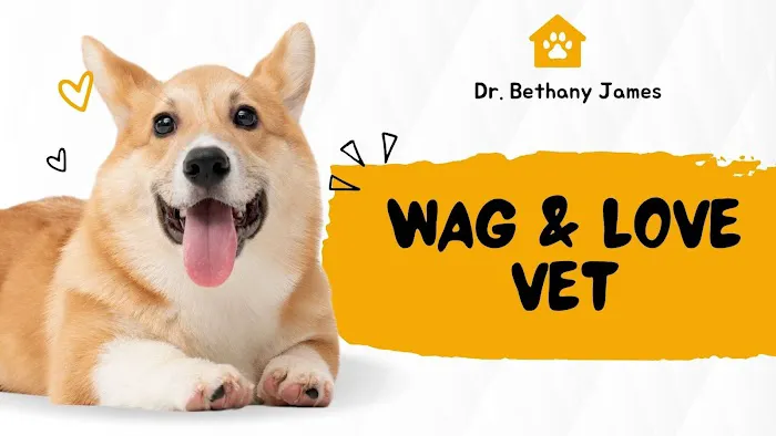 Wag & Love Vet Picture 1