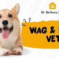Wag & Love Vet ico
