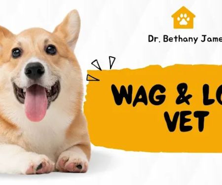 Wag & Love Vet
