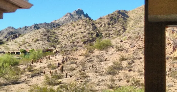 Squaw Peak Animal Hospital Picture 6
