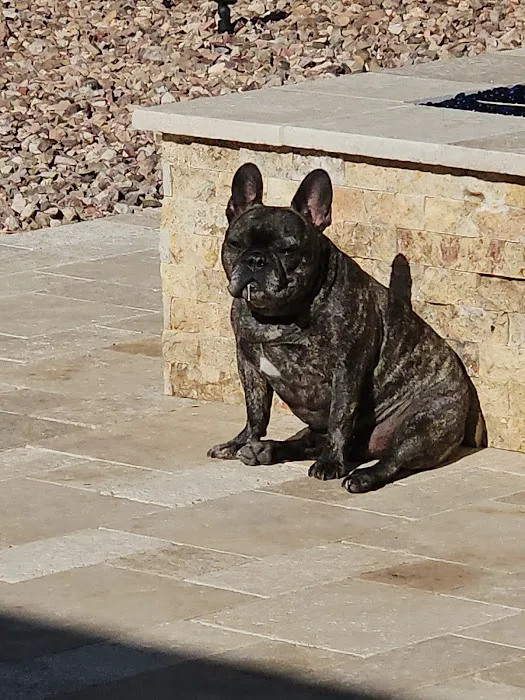 Soderstrom Veterinary Picture 3