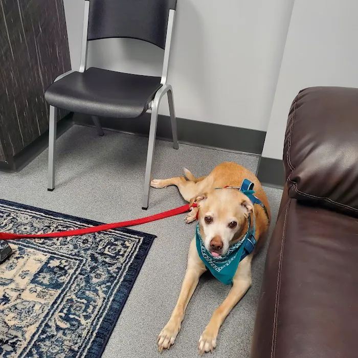 Soderstrom Veterinary Picture 10