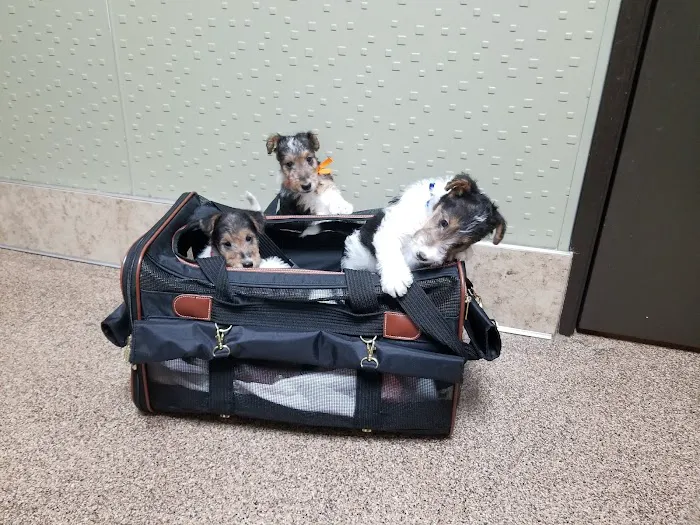 Soderstrom Veterinary Picture 7