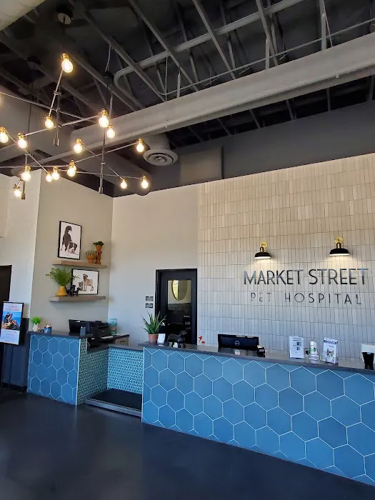 Market Street Pet Hospital Picture 2