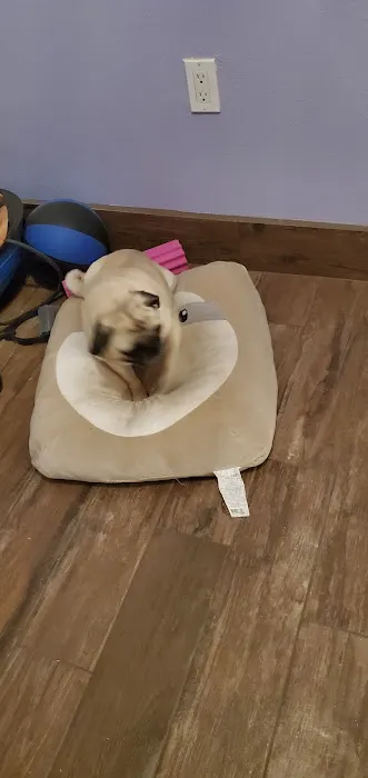 Market Street Pet Hospital Picture 4