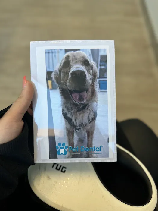 Pet Dental USA Picture 1