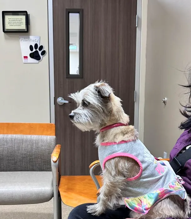 Arizona Animal Wellness Center Picture 1