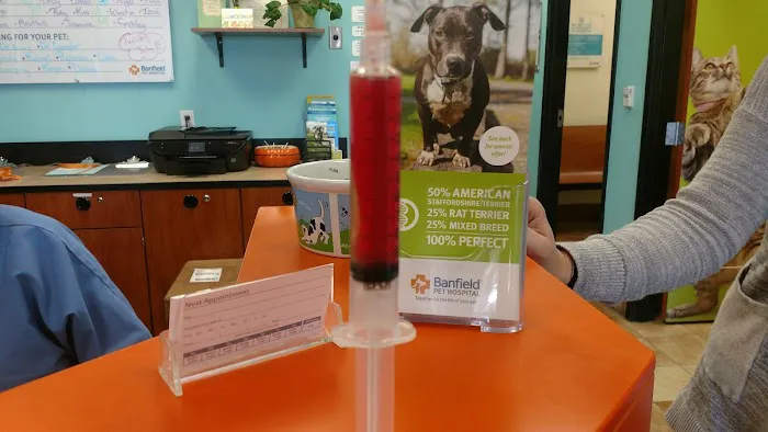 Banfield Pet Hospital Picture 8