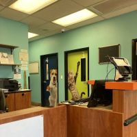 Banfield Pet Hospital ico