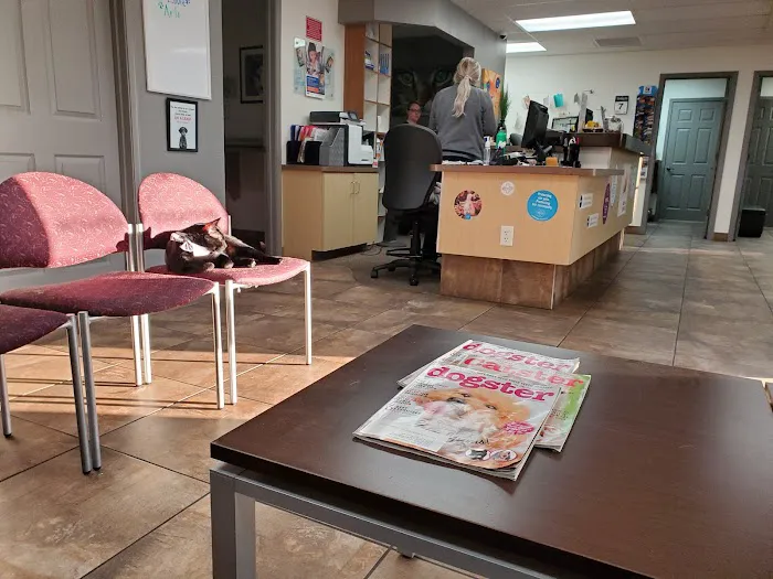 Mccormick Ranch Pet Care Center Picture 4