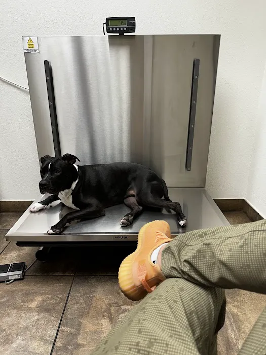 Mccormick Ranch Pet Care Center Picture 1