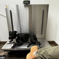 Mccormick Ranch Pet Care Center ico