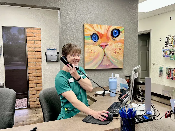 VCA McCormick Ranch Animal Hospital and Emergency Center Picture 7