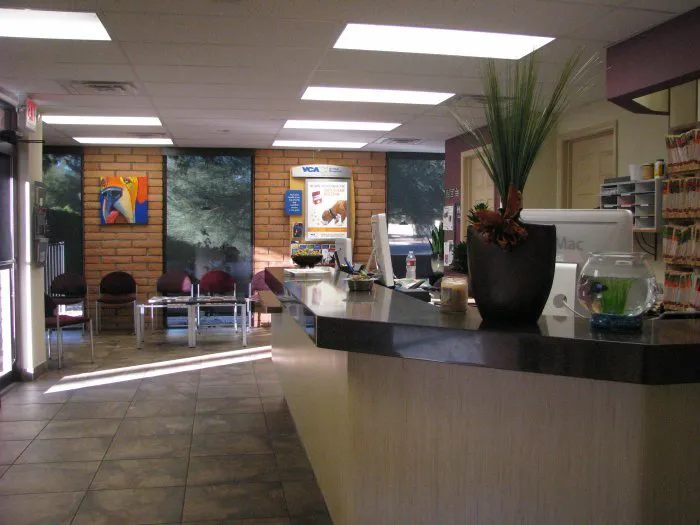 VCA McCormick Ranch Animal Hospital and Emergency Center Picture 6