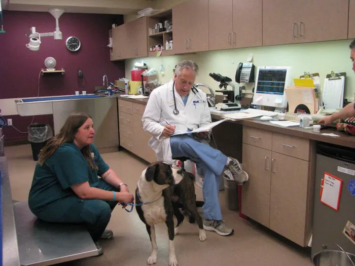 VCA McCormick Ranch Animal Hospital and Emergency Center Picture 3