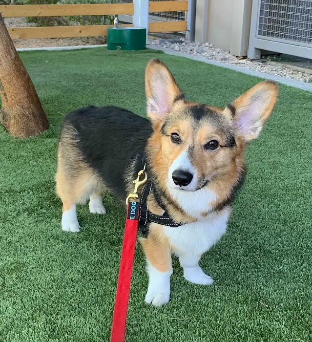 Scottsdale Ranch Animal Hospital Picture 10