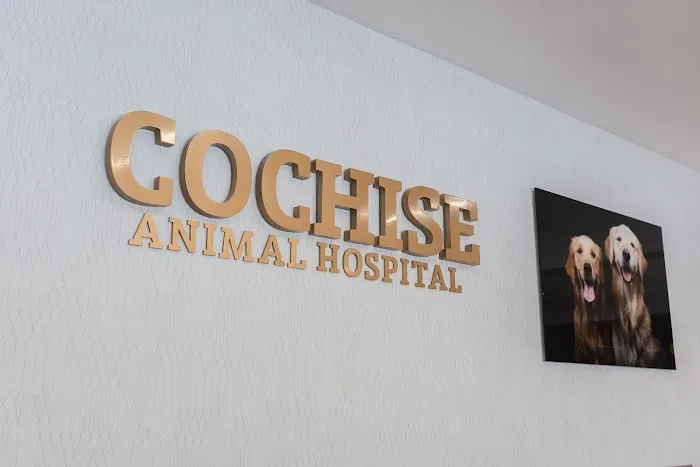 Cochise Animal Hospital Picture 5