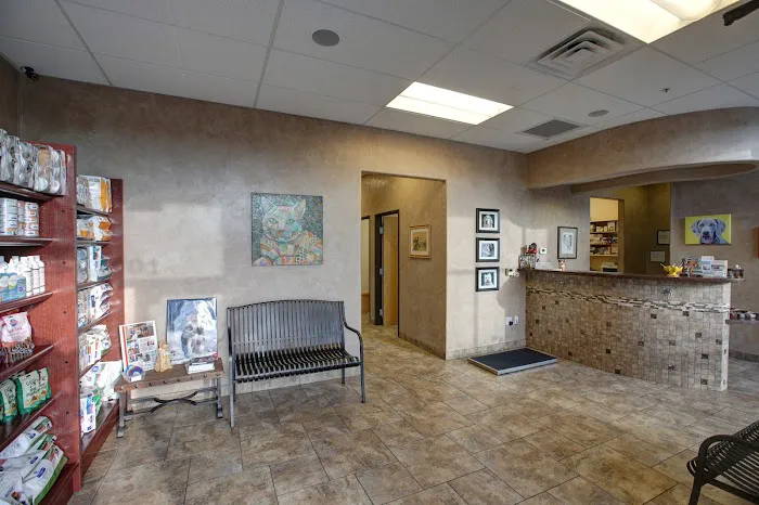 Cochise Animal Hospital Picture 4