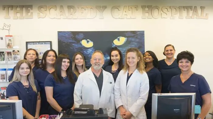 The Scaredy Cat Hospital Picture 3