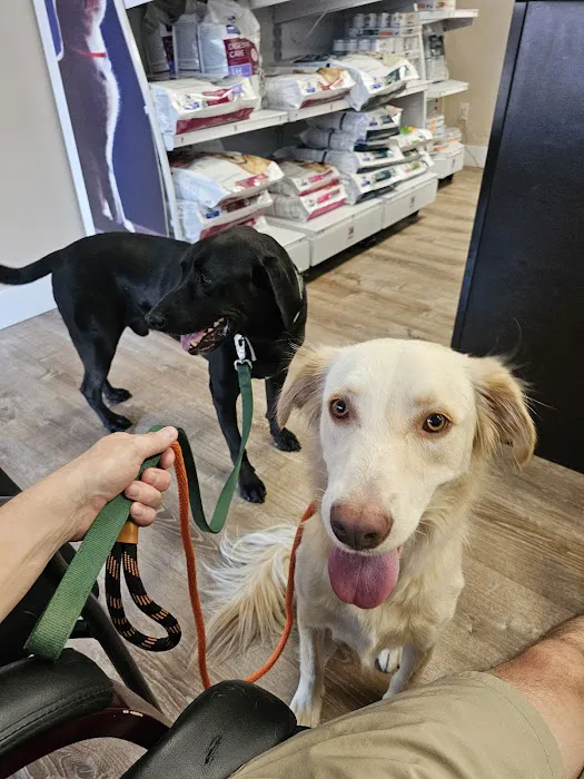 Four Peaks Animal Clinic Picture 6