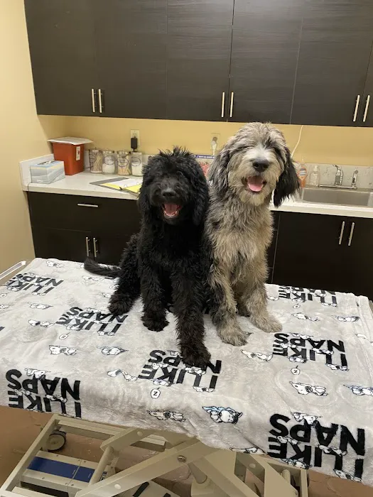 Four Peaks Animal Clinic Picture 10
