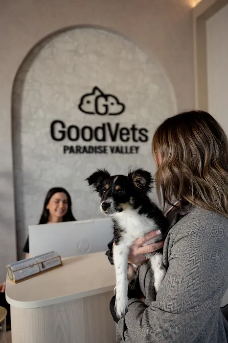 GoodVets Paradise Valley Picture 3