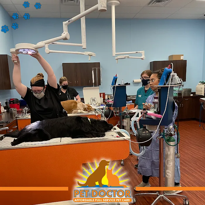 Pet Doctor of Chandler Picture 10