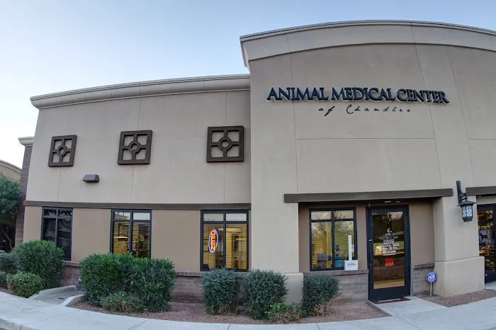 Animal Medical Center of Chandler Picture 10
