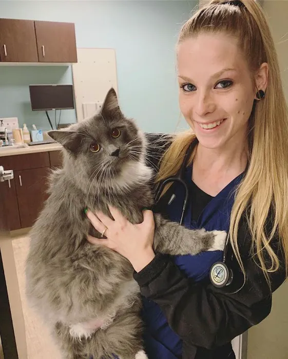 Animal Medical Center of Chandler Picture 7