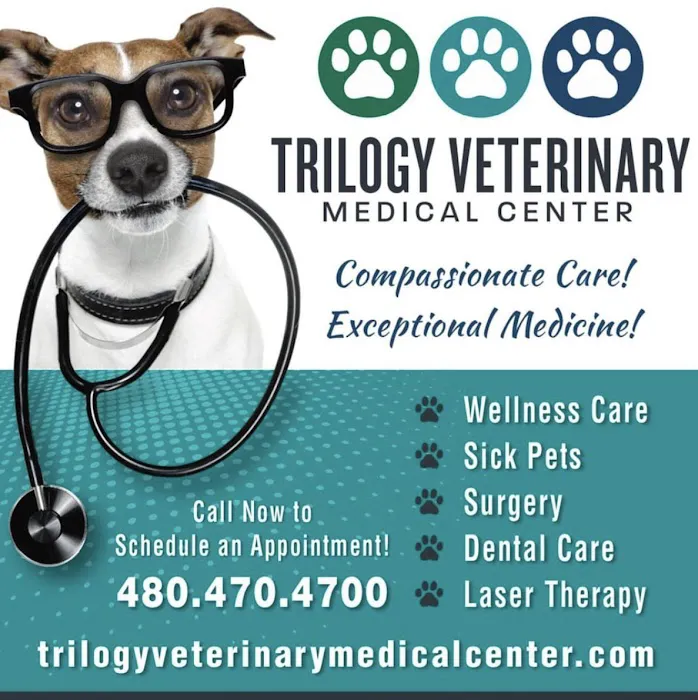 Trilogy Veterinary Medical Center Picture 7