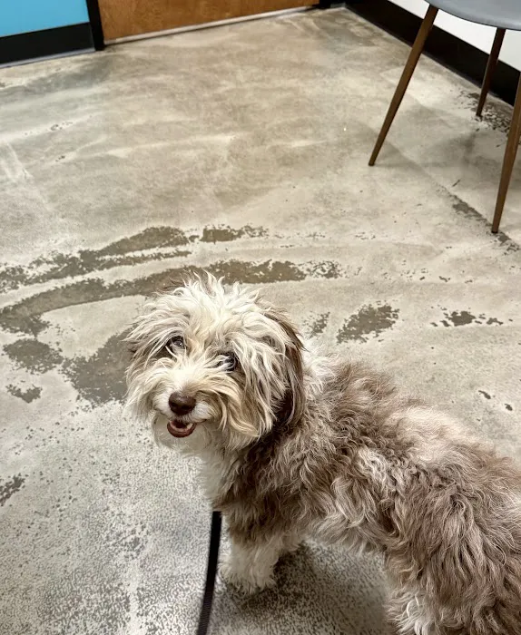 Trilogy Veterinary Medical Center Picture 9