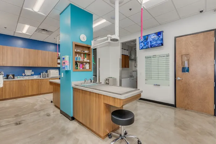 Trilogy Veterinary Medical Center Picture 6