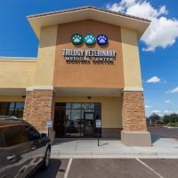Trilogy Veterinary Medical Center ico