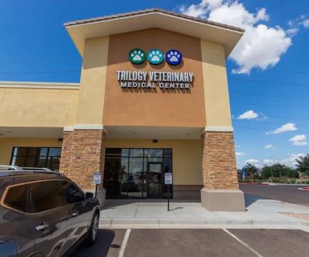 Trilogy Veterinary Medical Center