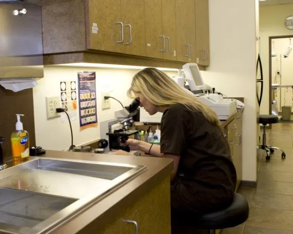 Priority Pet Hospital Picture 3