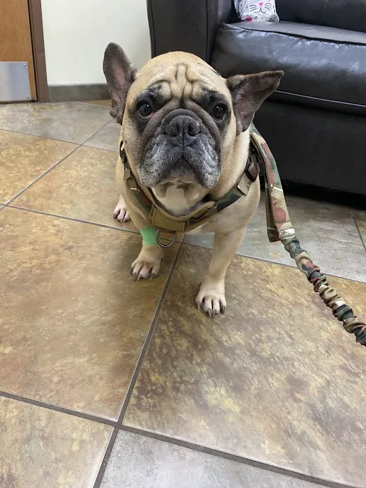 Priority Pet Hospital Picture 7