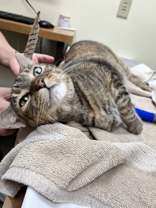 Priority Pet Hospital Picture 9