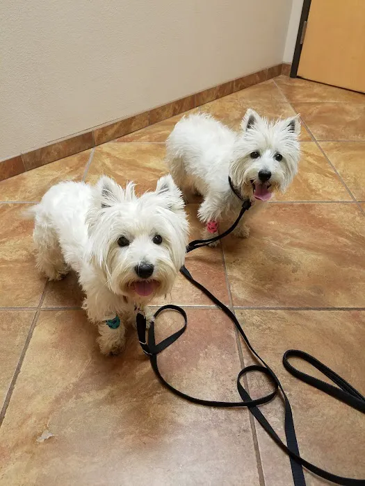 LifeCare Animal Hospital Picture 7