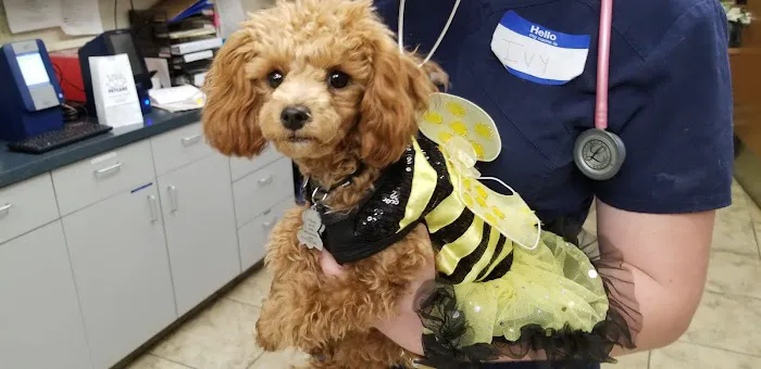 Foothills Animal Hospital Picture 1