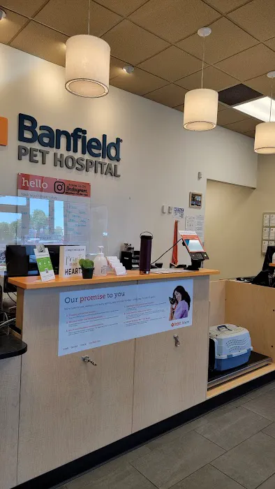 Banfield Pet Hospital Picture 8