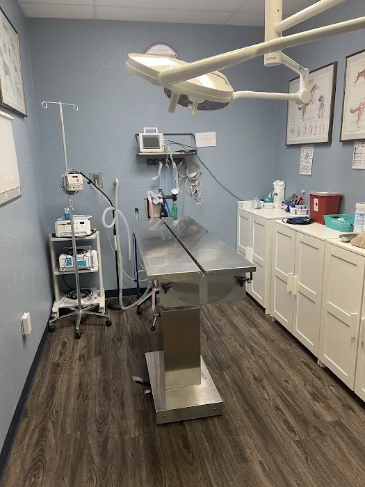 Sun Lakes Chandler Animal Clinic Picture 5
