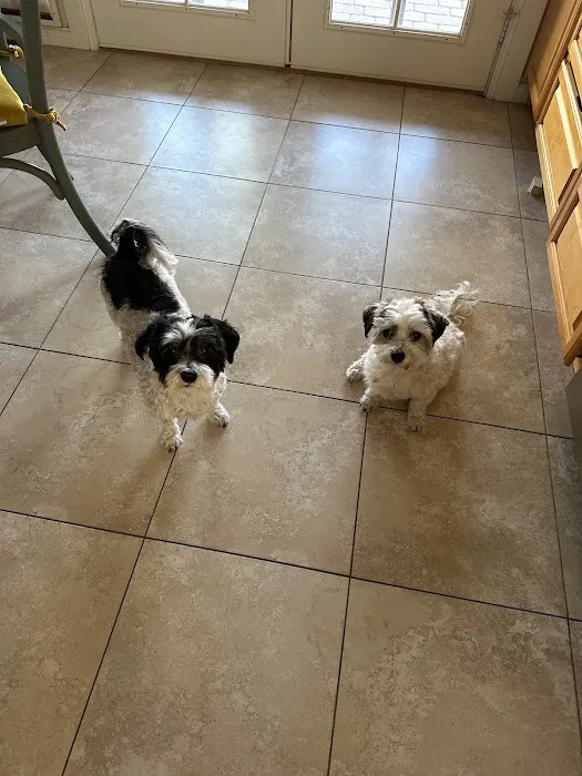 Sun Lakes Chandler Animal Clinic Picture 2