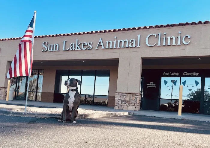 Sun Lakes Chandler Animal Clinic Picture 3