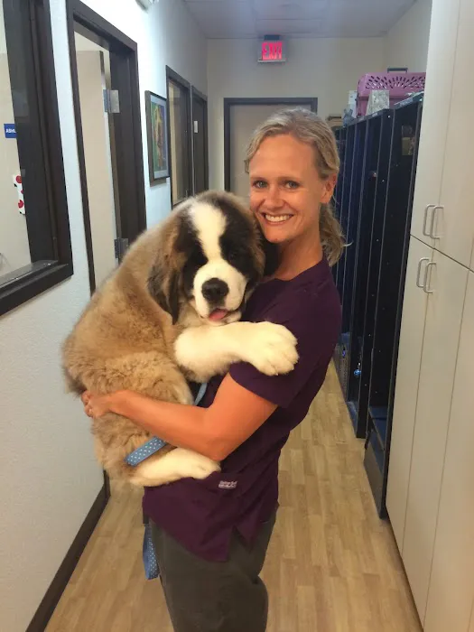 Sun Lakes Chandler Animal Clinic Picture 7