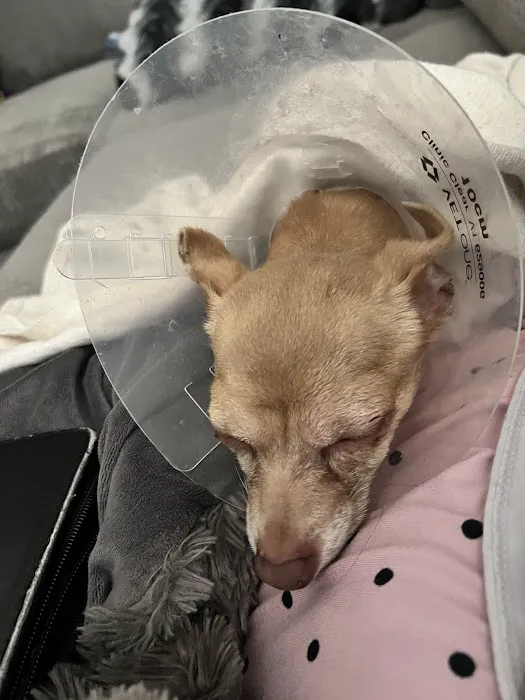 Vetco Total Care Animal Hospital Picture 2