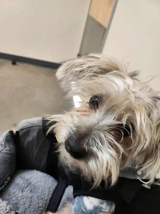 Vetco Total Care Animal Hospital Picture 6